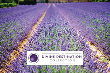 Divine Destination Collection + Volprivé